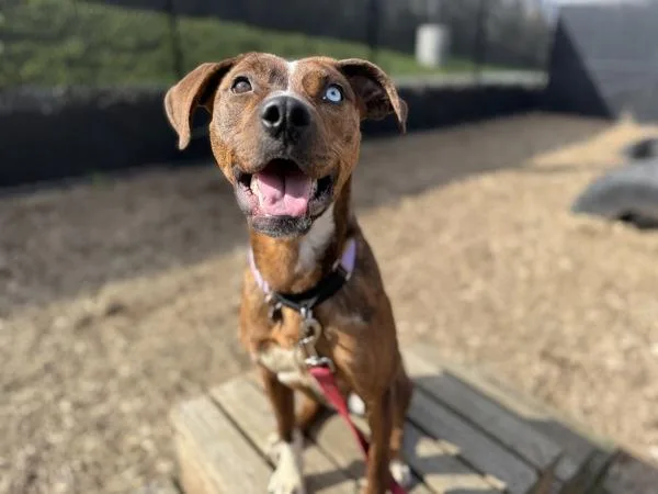 Surprise thumbnail 5