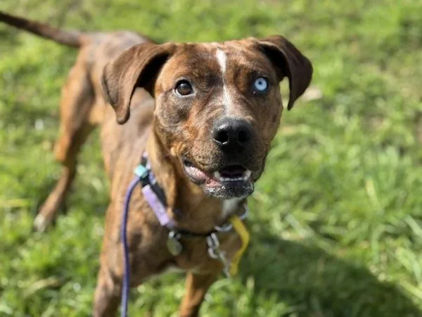 Surprise thumbnail 6