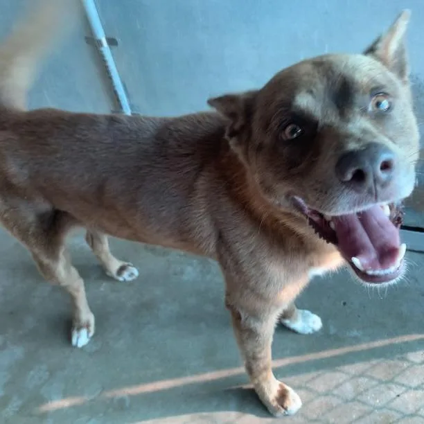 Criss Cross thumbnail 2