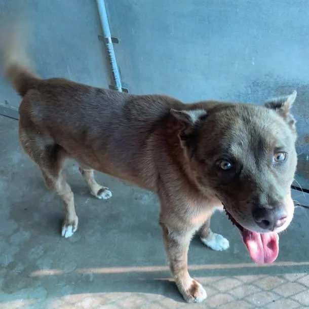 Criss Cross thumbnail 3