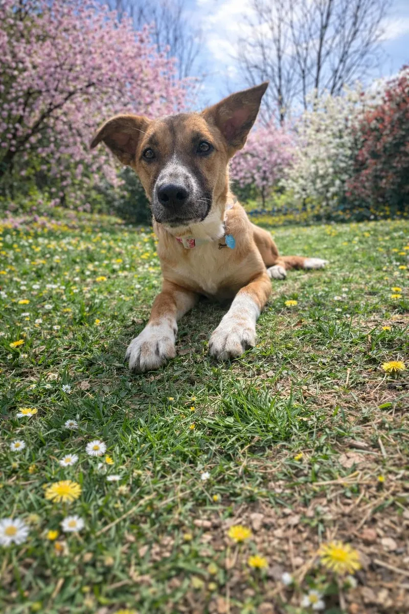 Katherine thumbnail 2