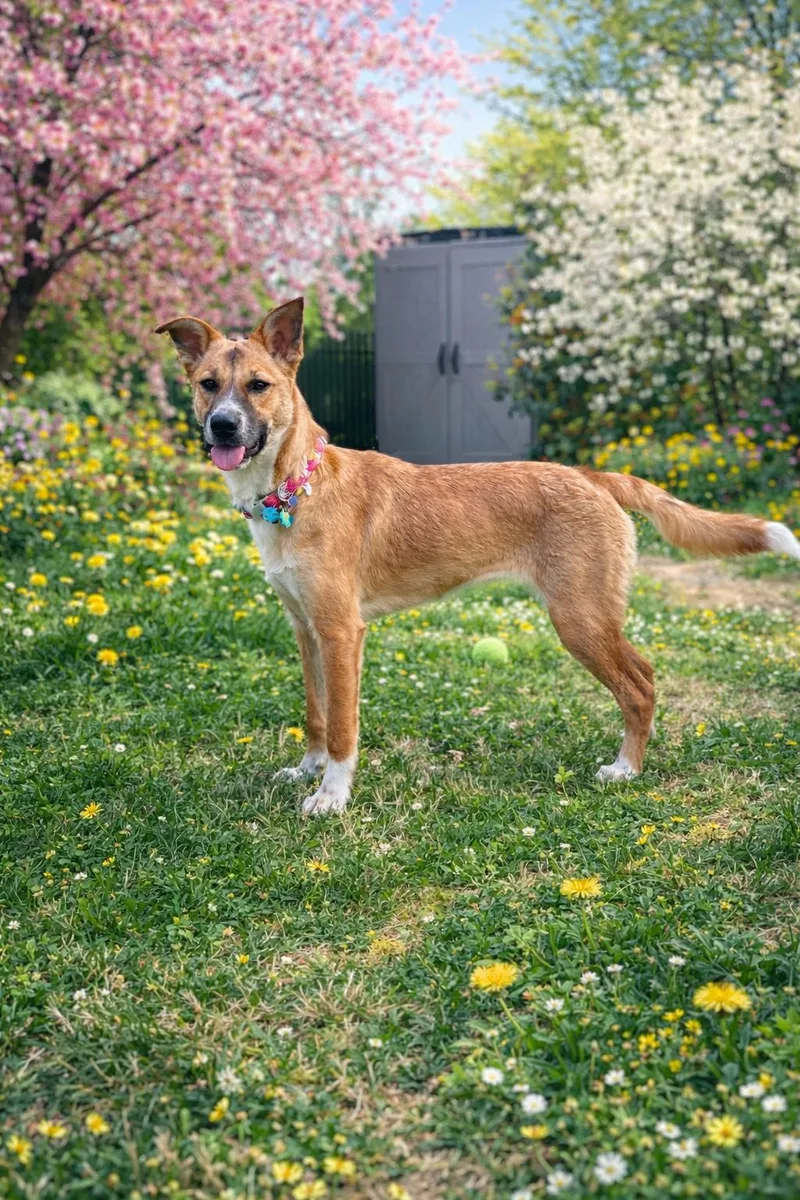 Katherine thumbnail 3