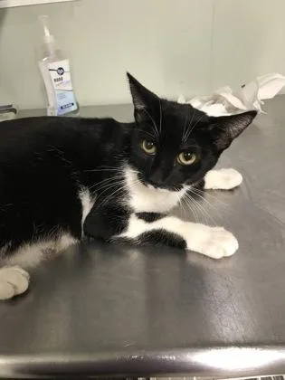 Valentina thumbnail 2