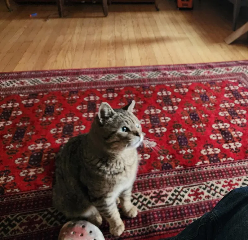 Hogan Hoopes thumbnail 2