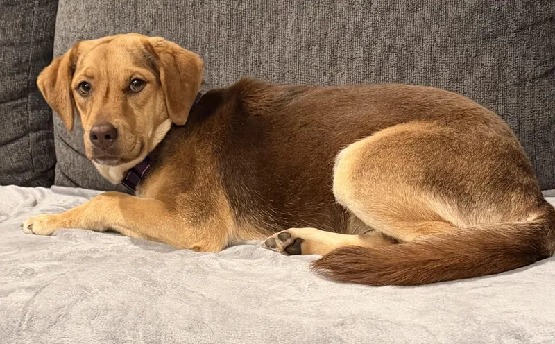 Teddie Hoping For Her thumbnail 2