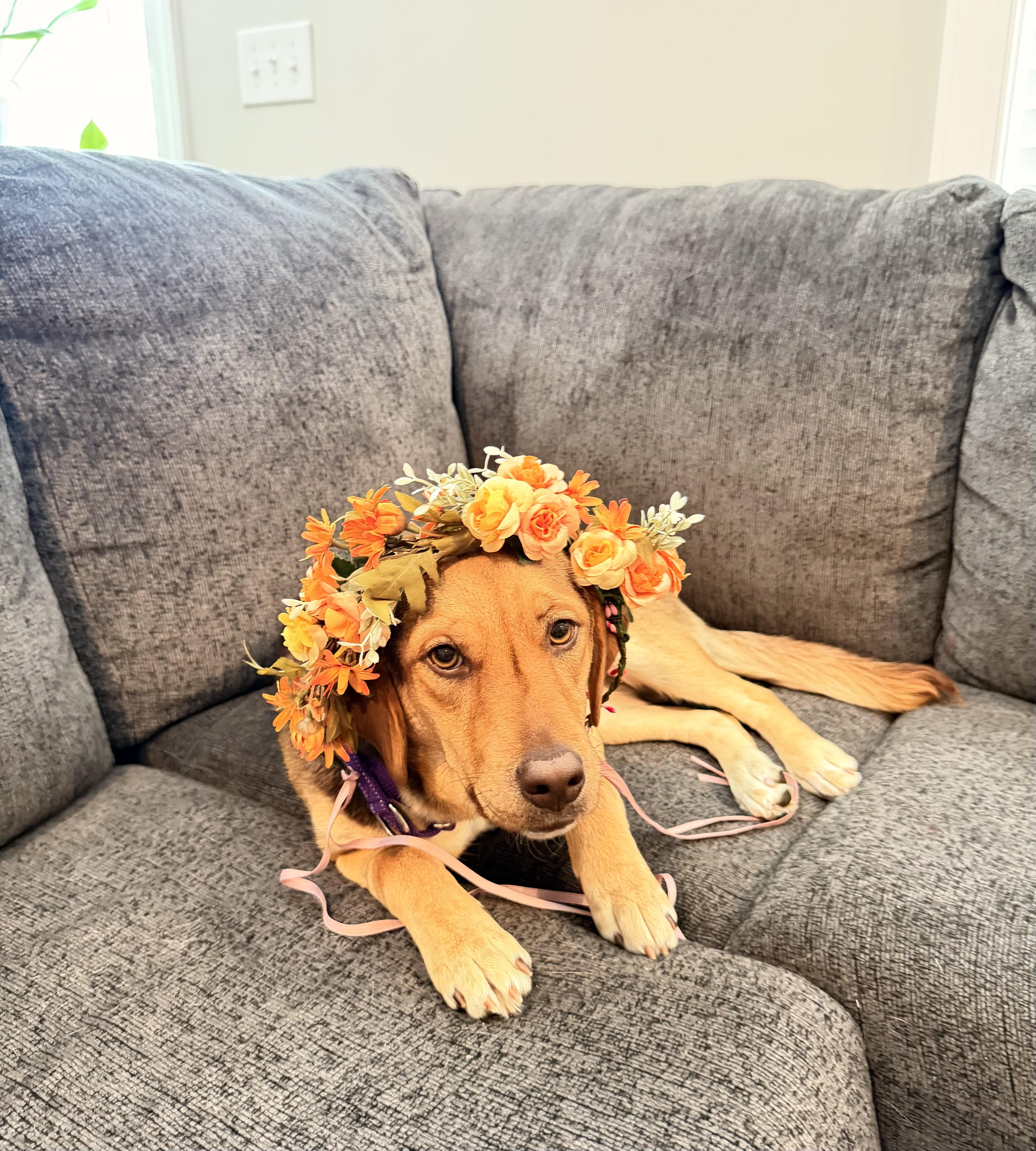 Teddie Hoping For Her thumbnail 3