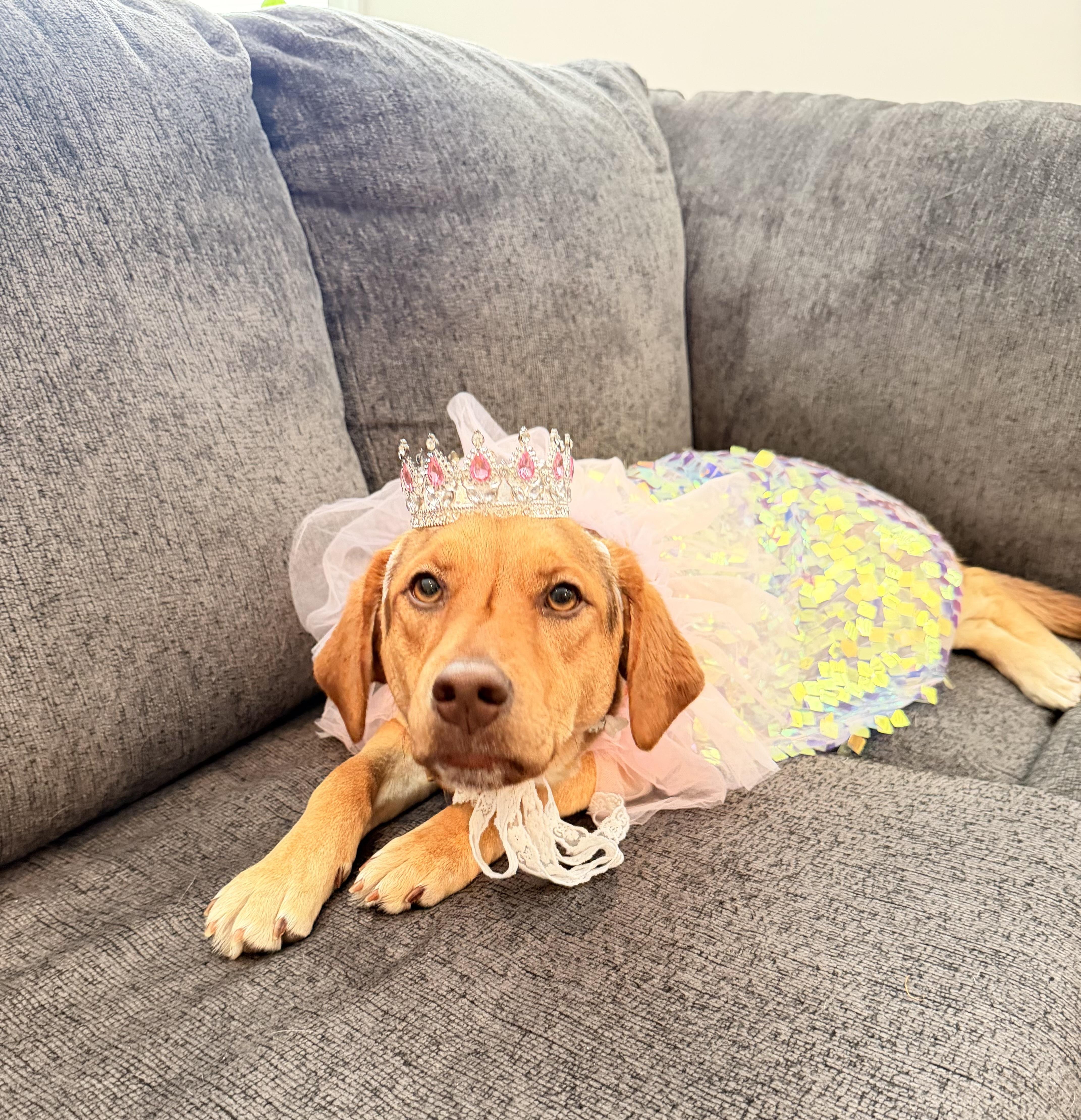 Teddie Hoping For Her