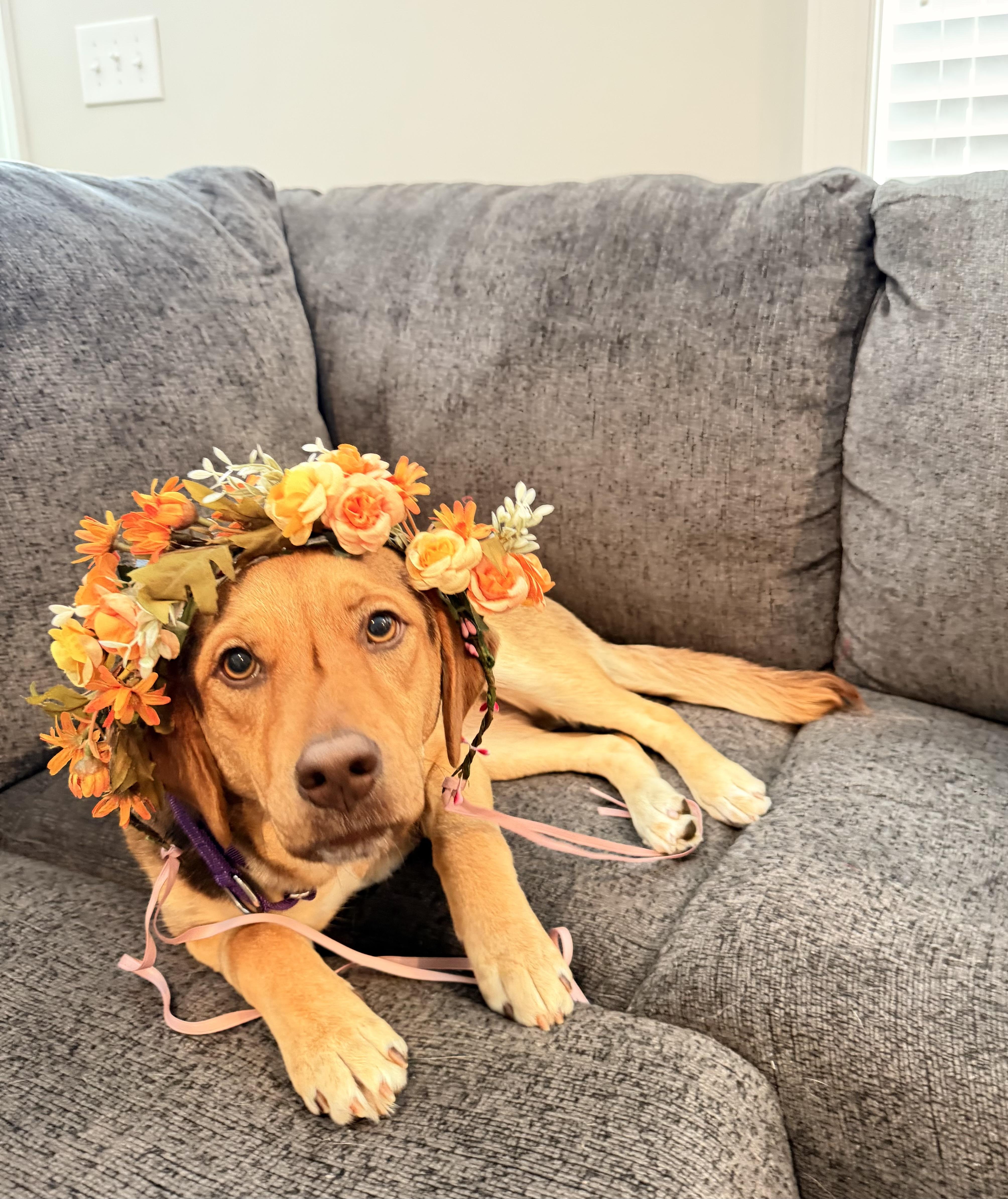 Teddie Hoping For Her thumbnail 6