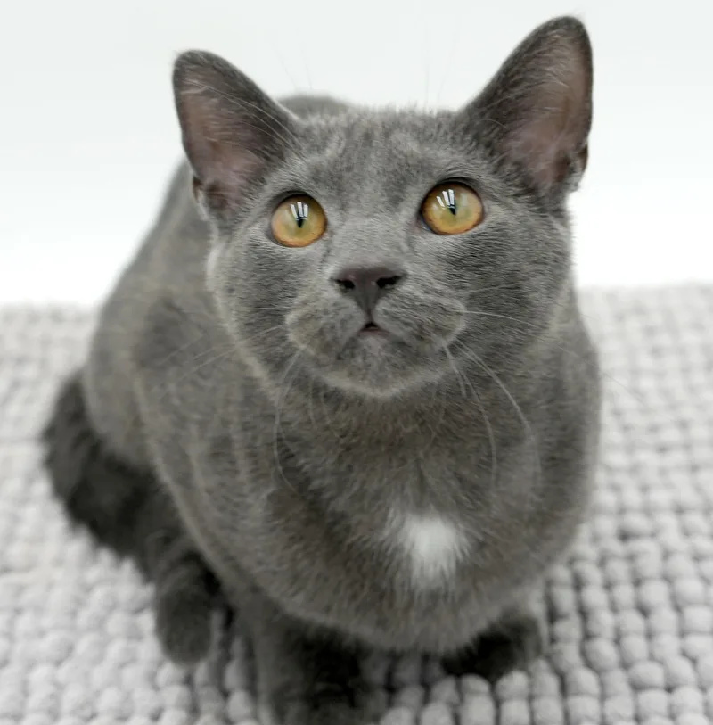 Goop Is Gorgeous  thumbnail 5