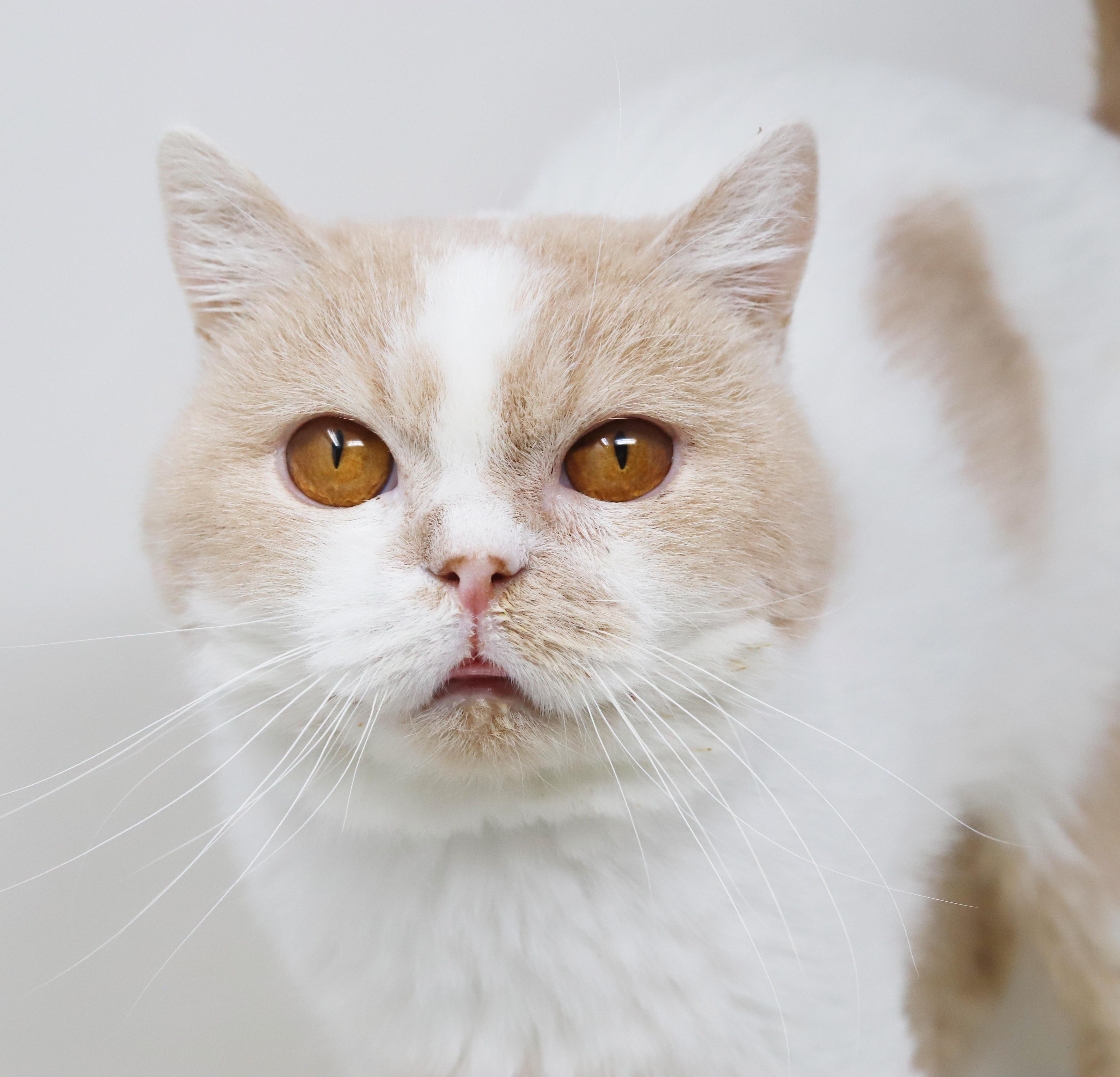 Roman Is Ridiculously Sweet!!