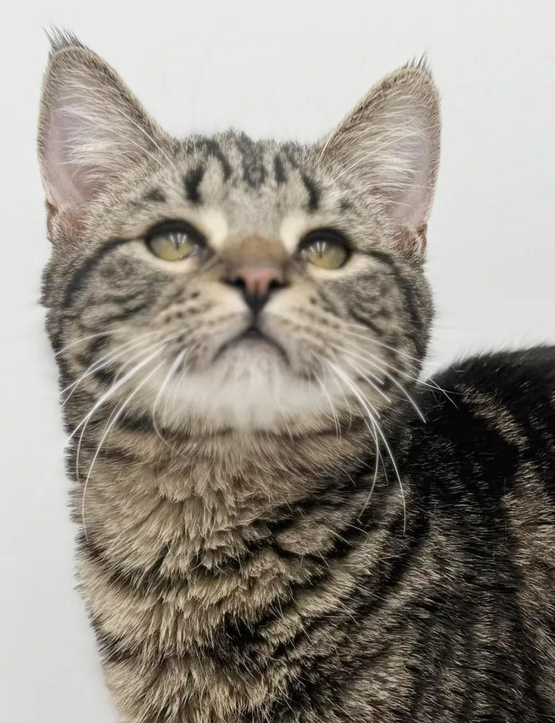 Noah Is Nothing Less thumbnail 2