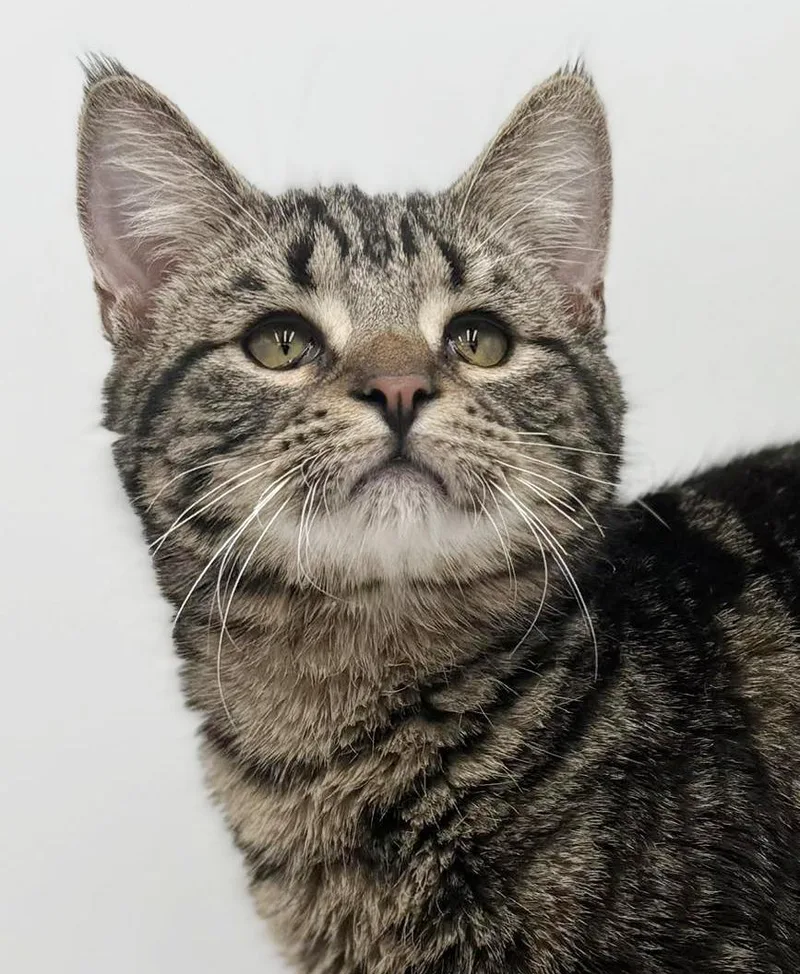 Noah Is Nothing Less thumbnail 3