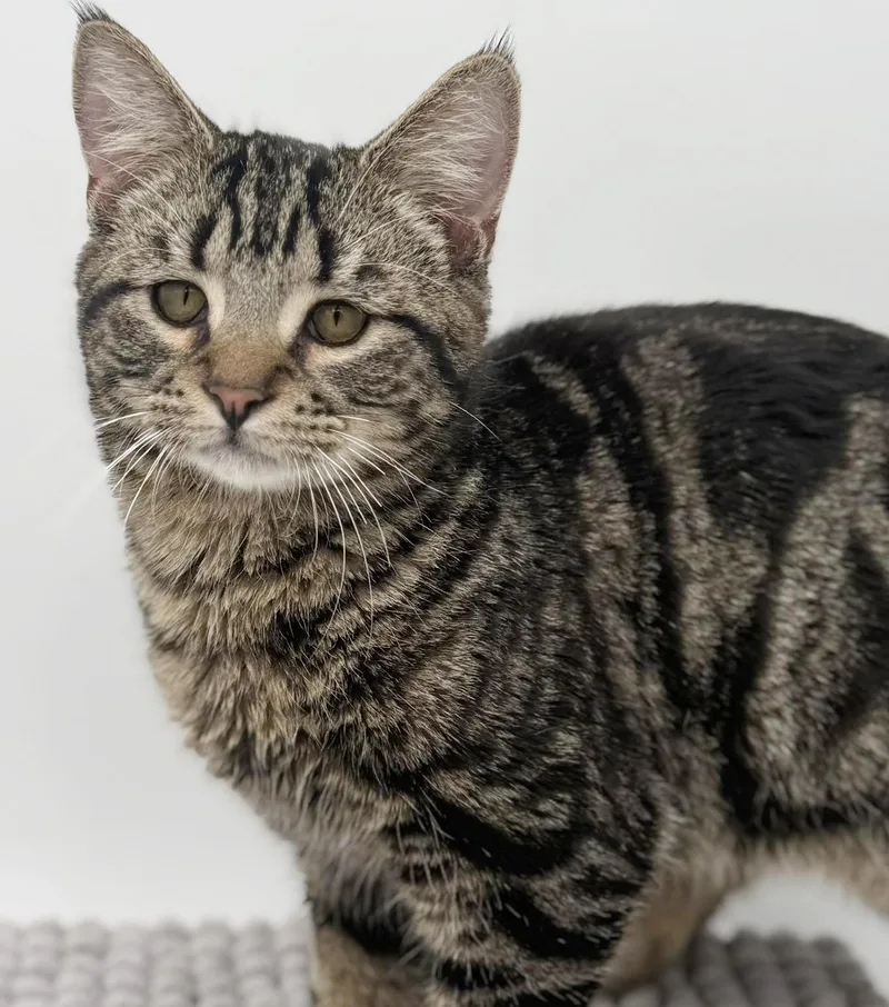 Noah Is Nothing Less thumbnail 5