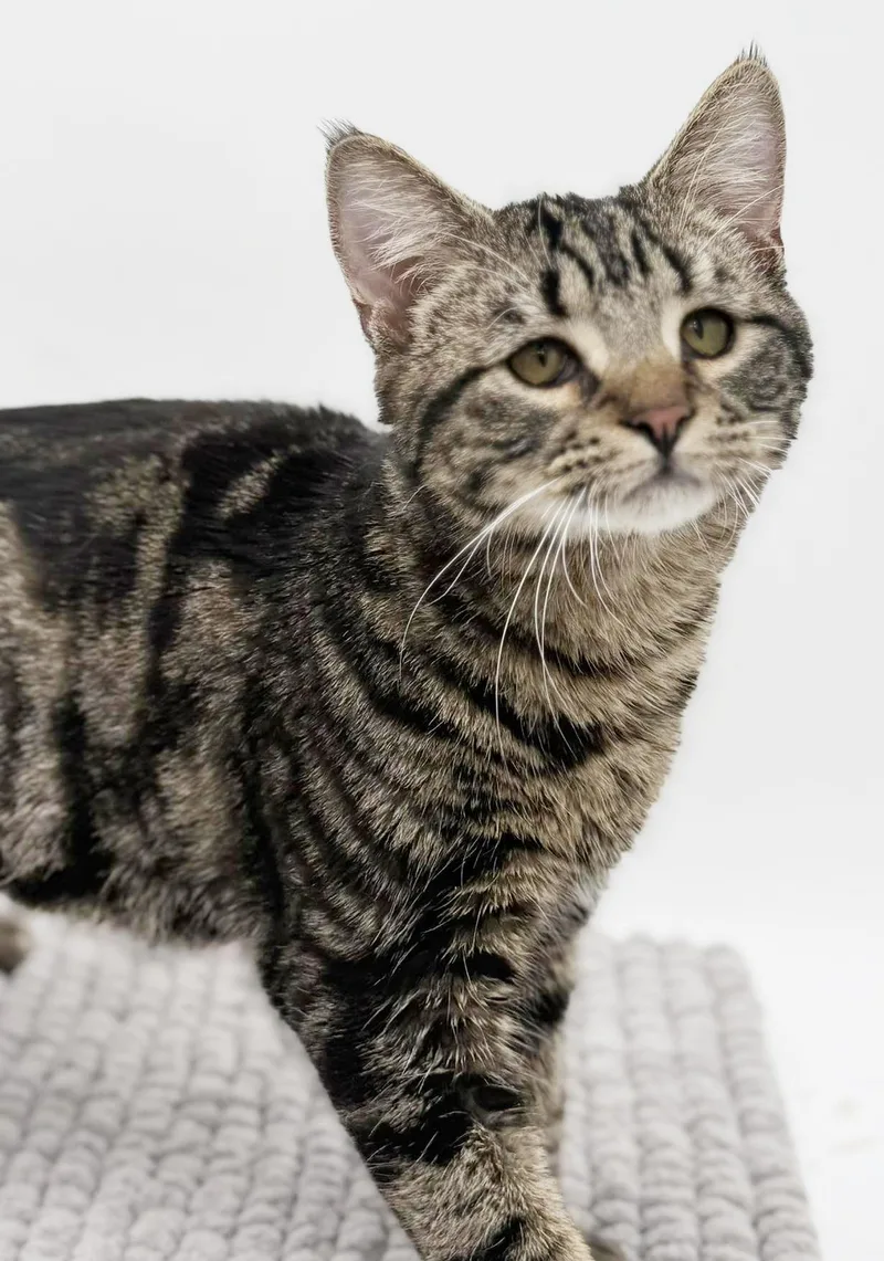 Noah Is Nothing Less thumbnail 6