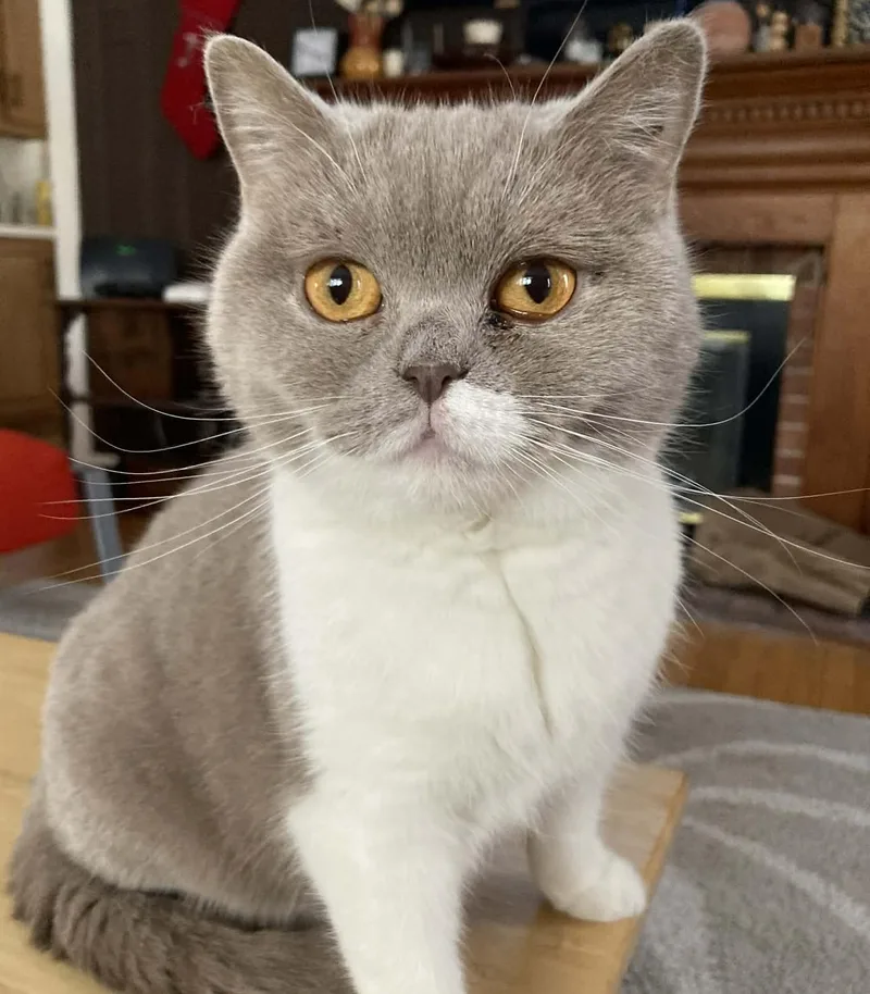 Kimmi Is Stunning And thumbnail 2