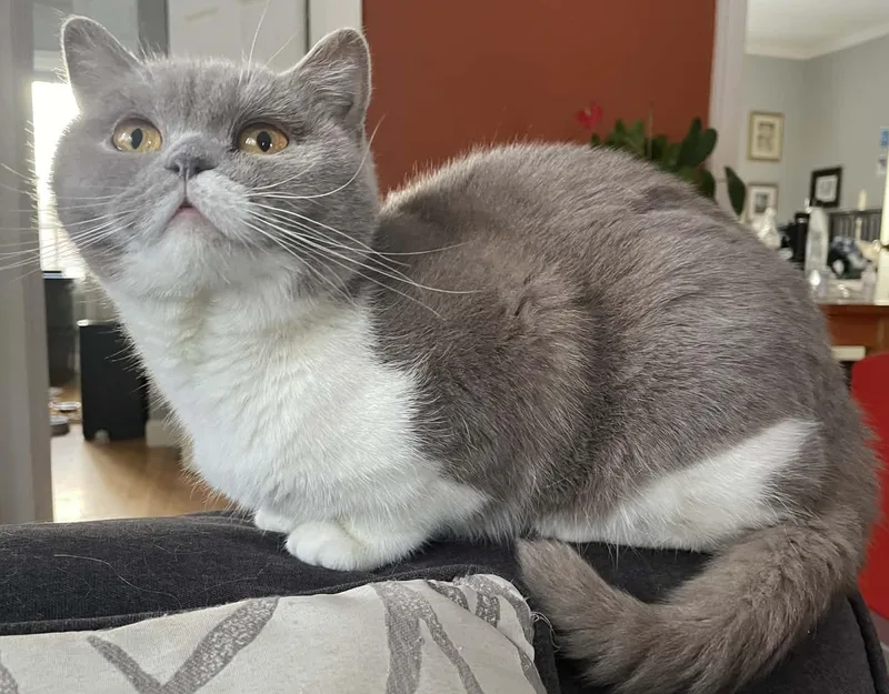 Kimmi Is Stunning And thumbnail 3