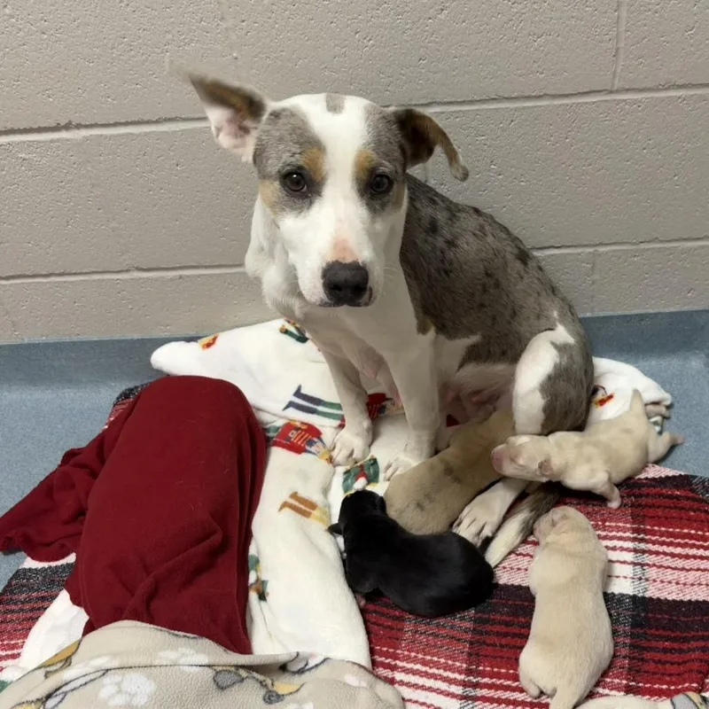 Paige D  Arriving thumbnail 2