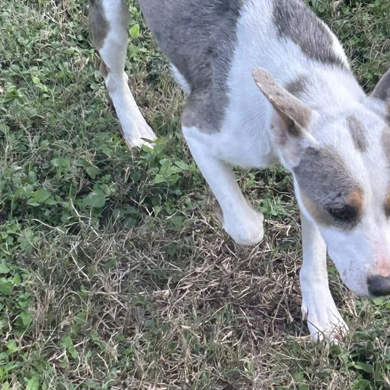 Paige D  Arriving thumbnail 3