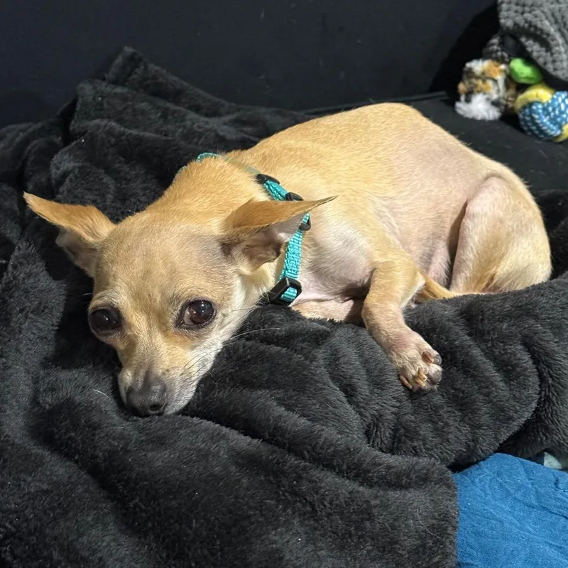 Breezy Johnson thumbnail 2