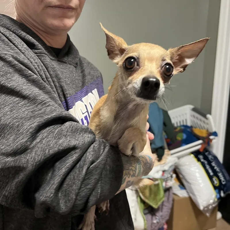 Breezy Johnson thumbnail 4