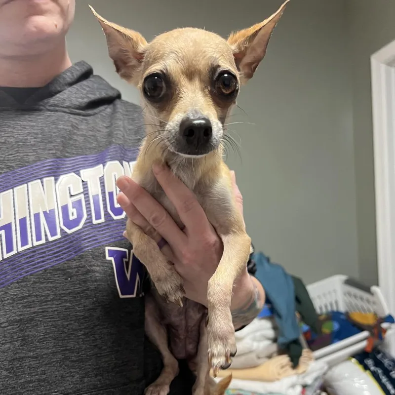 Breezy Johnson thumbnail 5