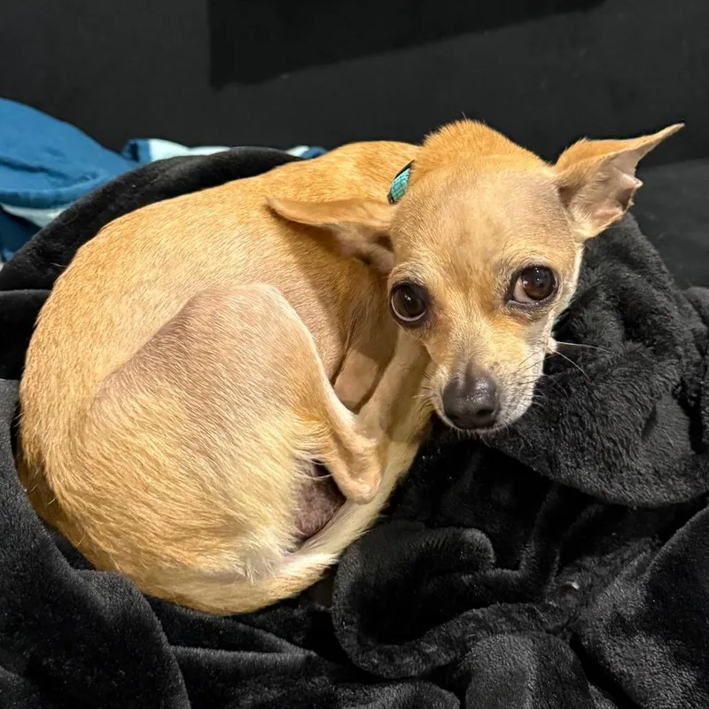 Breezy Johnson thumbnail 6