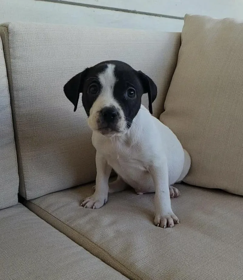 Bullseye thumbnail 2