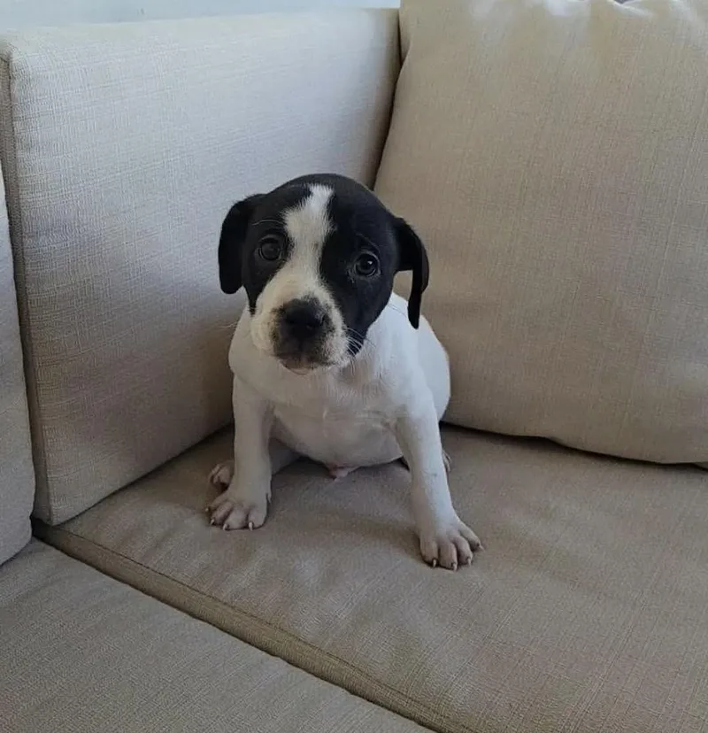 Bullseye thumbnail 3