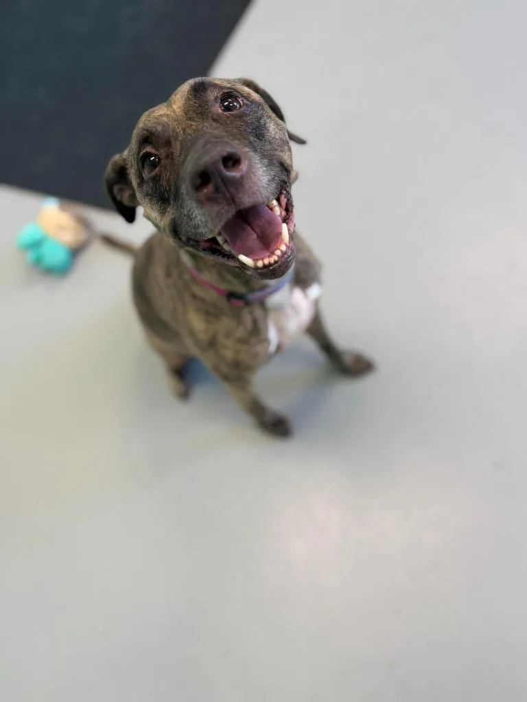 Coca Cola thumbnail 2