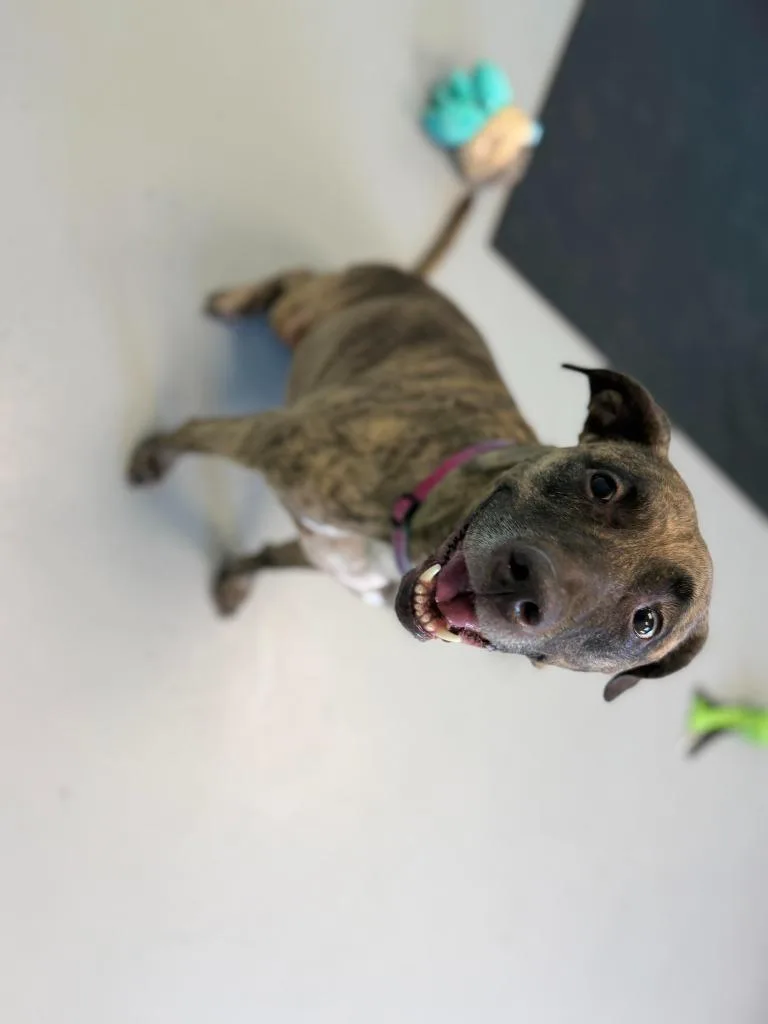 Coca Cola thumbnail 3