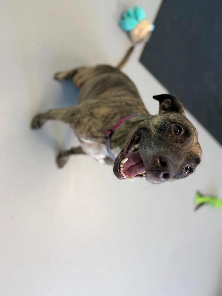 Coca Cola thumbnail 5