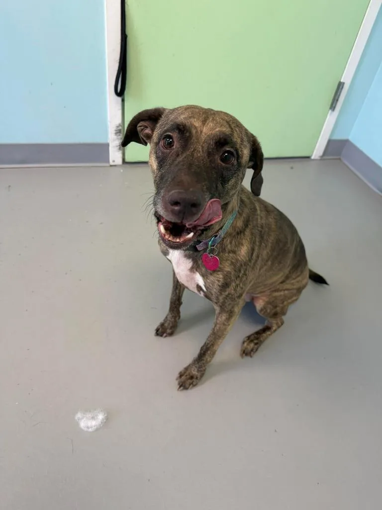 Coca Cola thumbnail 6