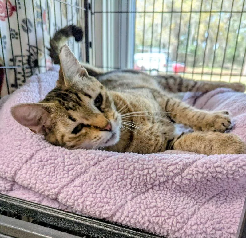 Reese Whiskerspoon thumbnail 2