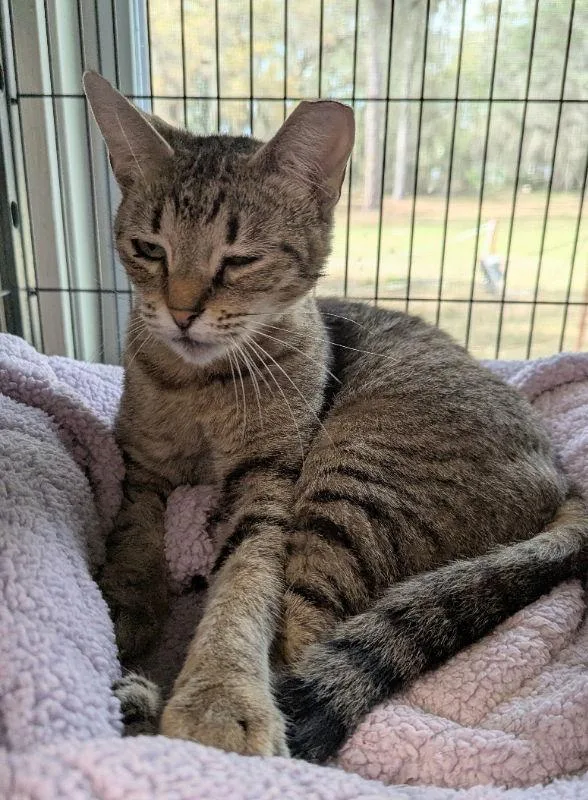 Reese Whiskerspoon thumbnail 3