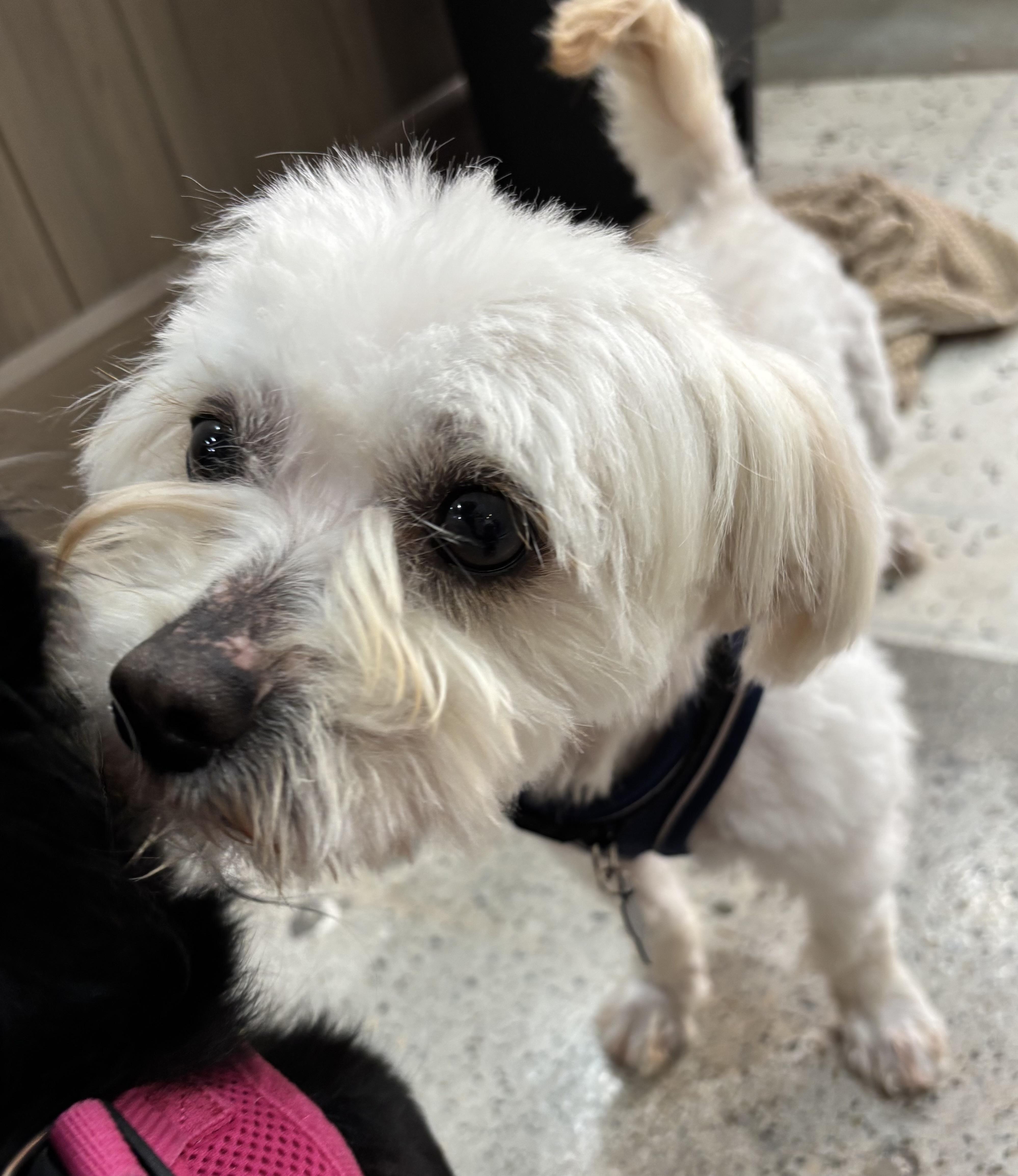 Finn O'riley thumbnail 2