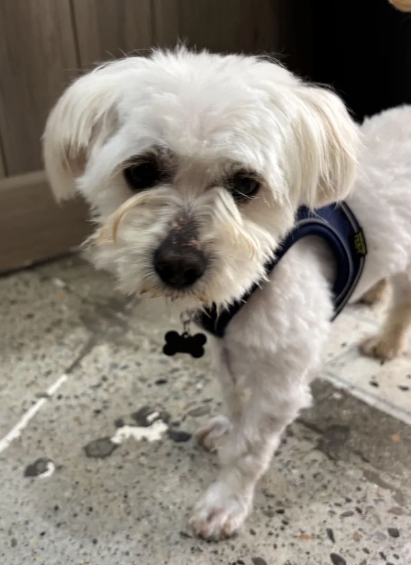 Finn O'riley thumbnail 3