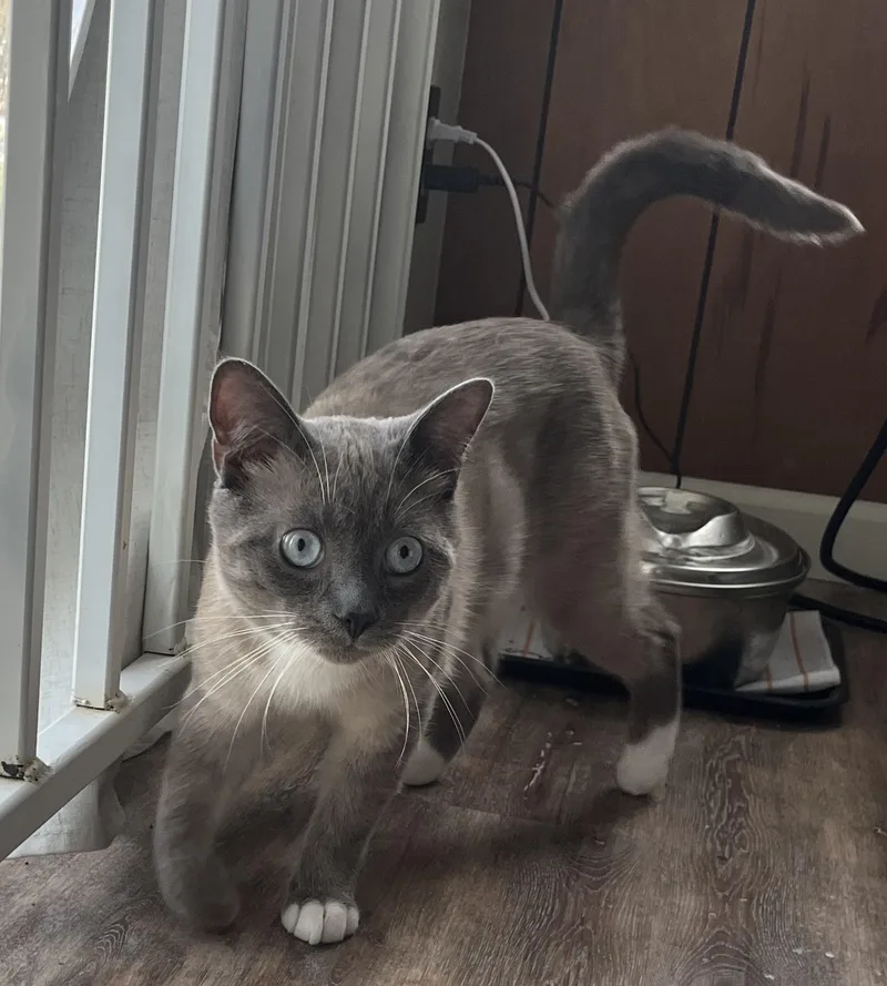 Denali Dan thumbnail 5