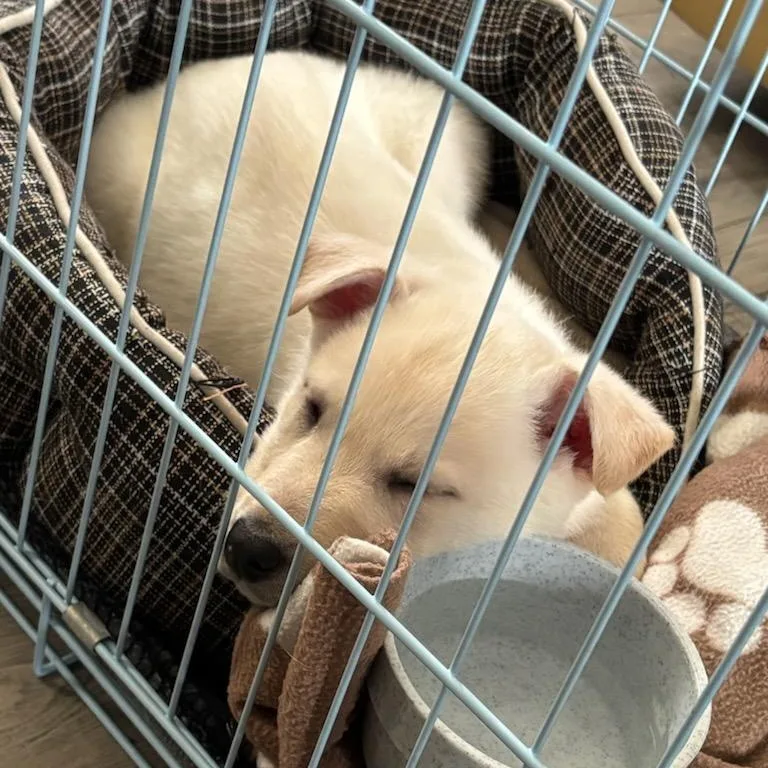 George Franklin thumbnail 2