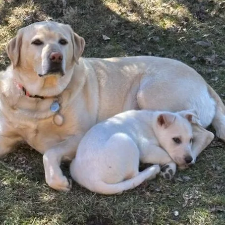 George Franklin thumbnail 3