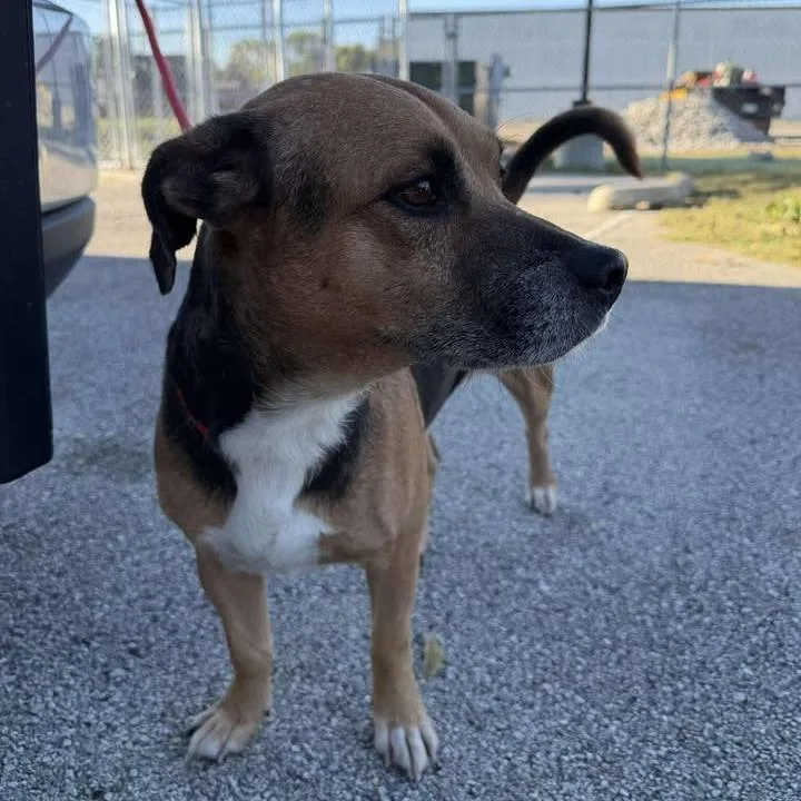 Bilbo Baggins thumbnail 2