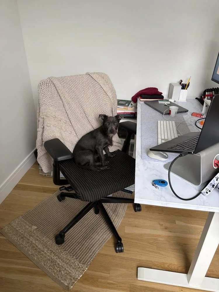 Jose Cuervo thumbnail 6