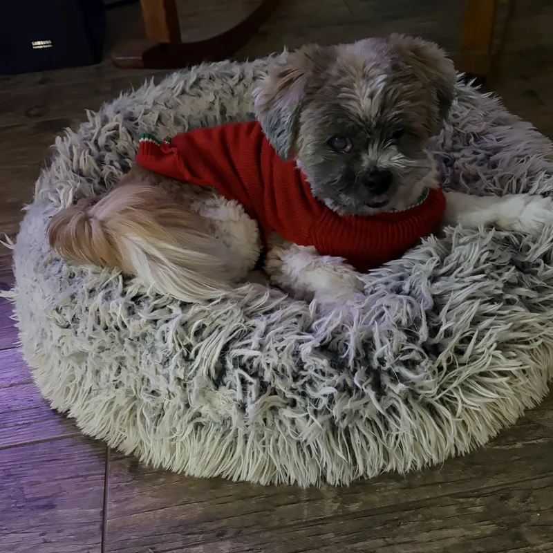 Toby Savor thumbnail 3