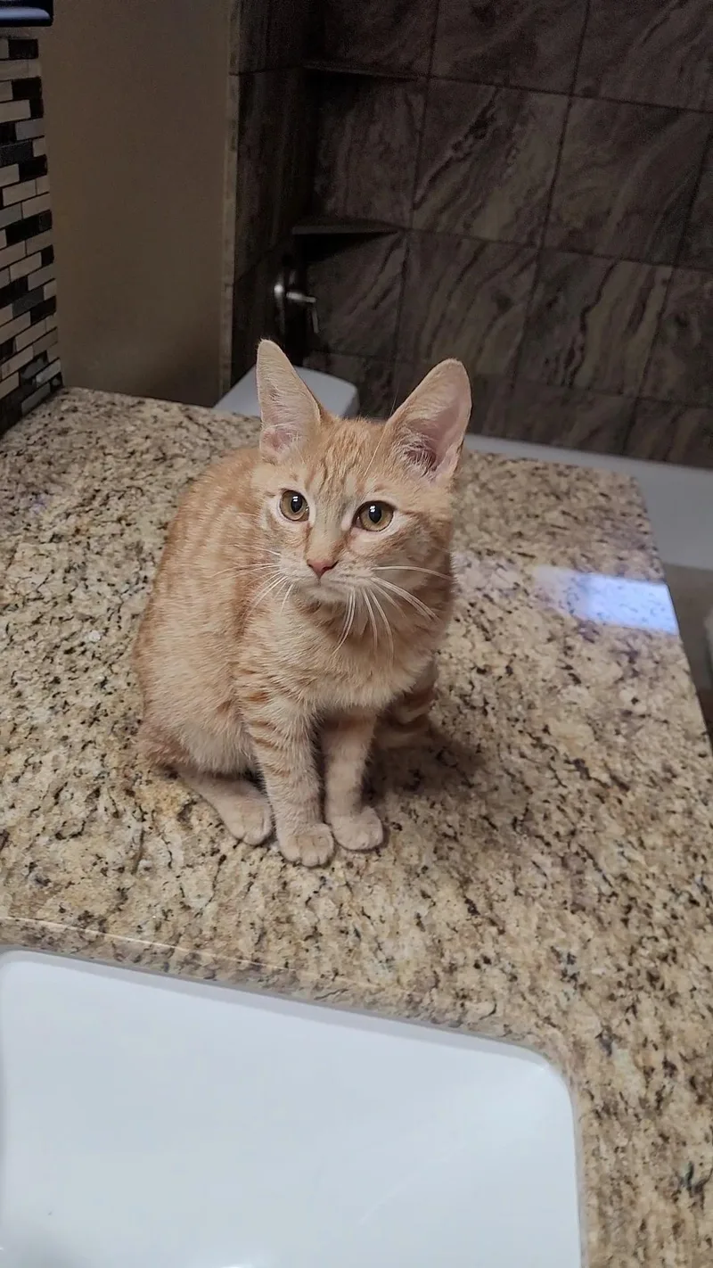 Samantha thumbnail 2