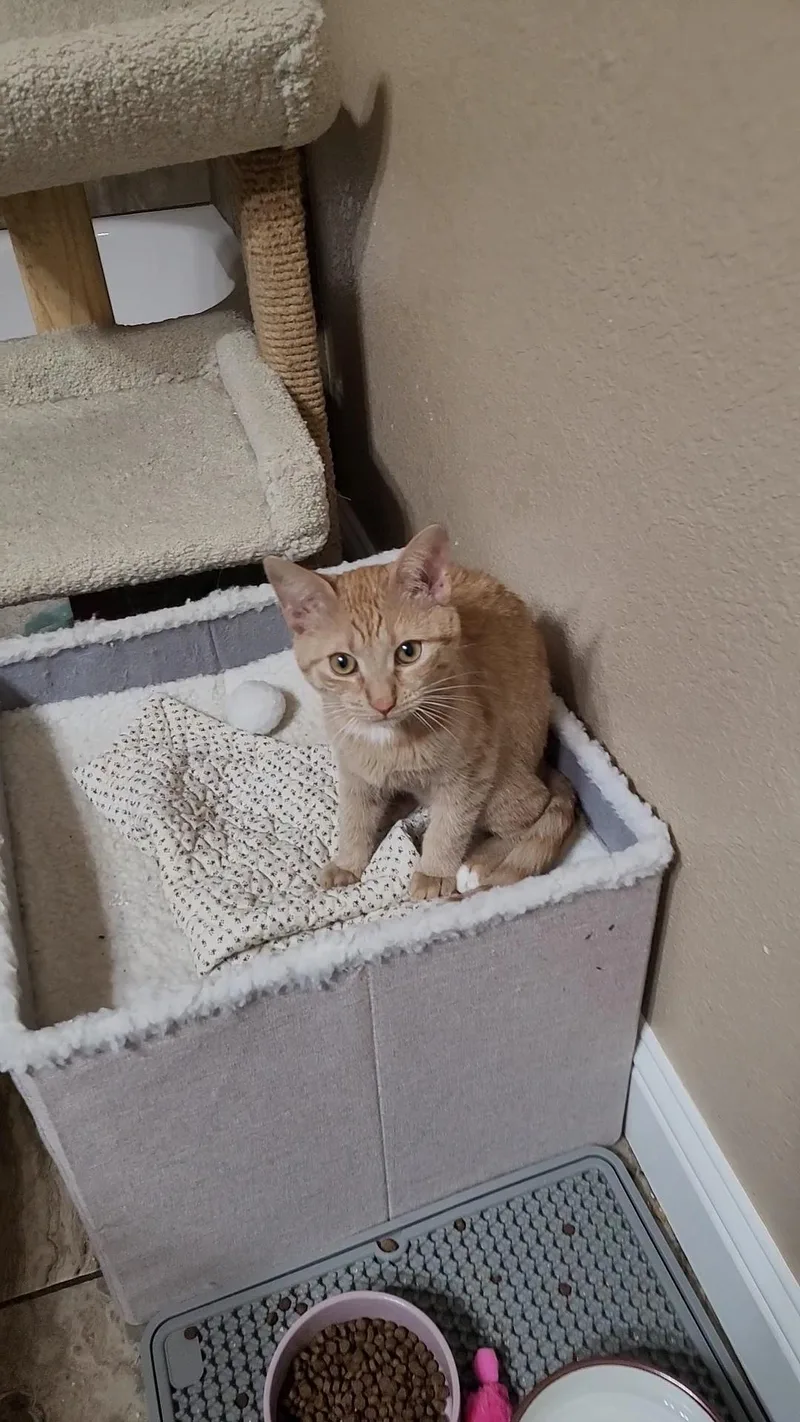 Samantha thumbnail 4