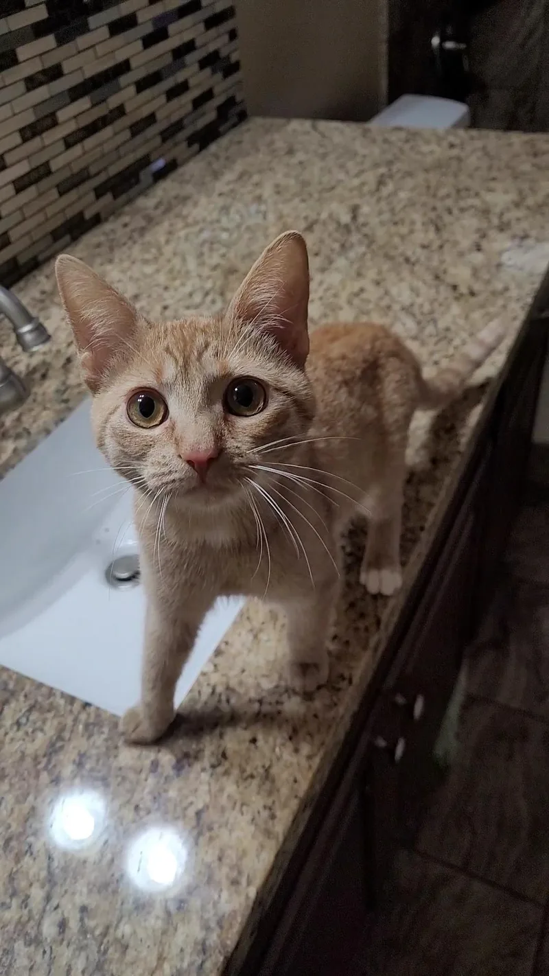 Samantha thumbnail 6