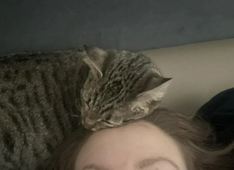 Carrie Ann thumbnail 2