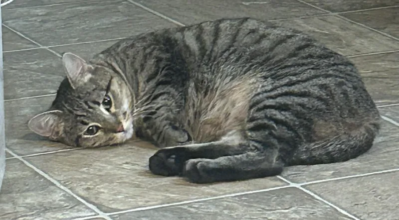 Carrie Ann thumbnail 3