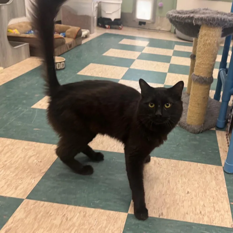 Hernando thumbnail 3