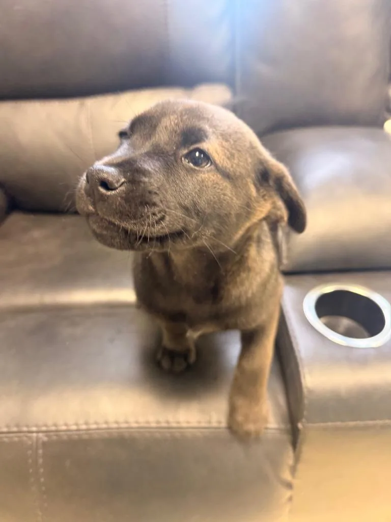 Hitchhiker thumbnail 2