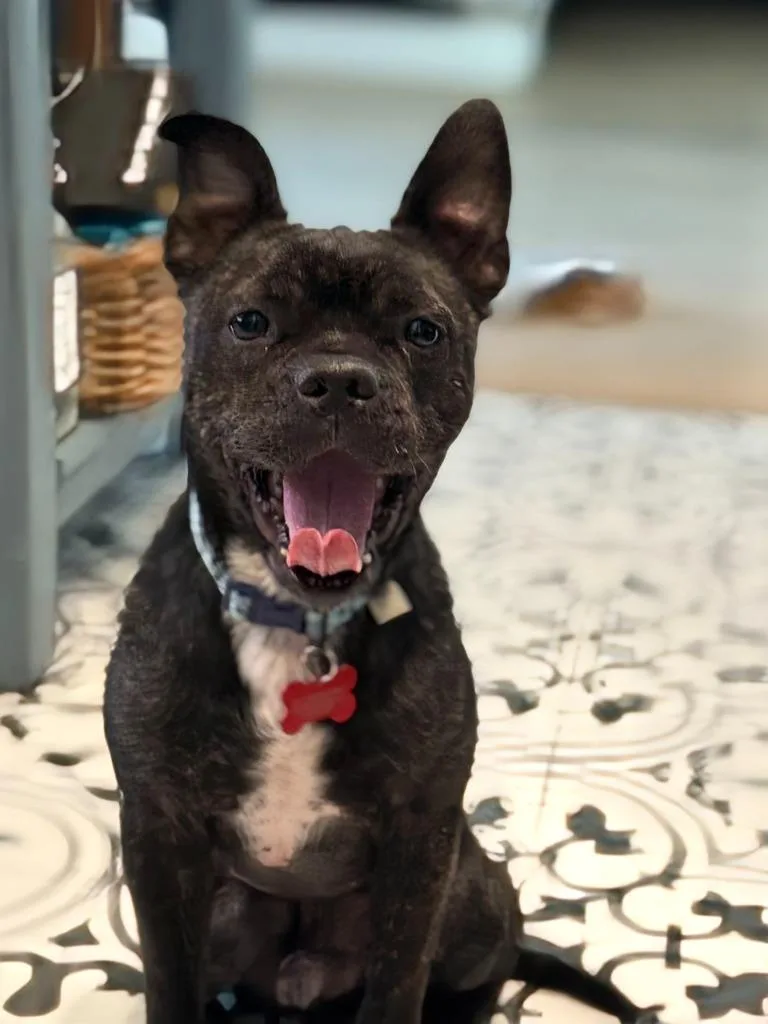 Midnight thumbnail 3